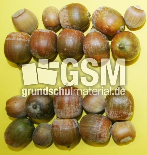 20-Haselnüsse.jpg